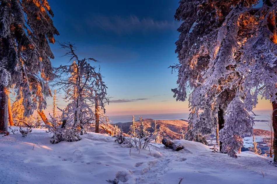 Zjawiskowy poranek w Beskidzie Wyspowym - zdjęcie 13
