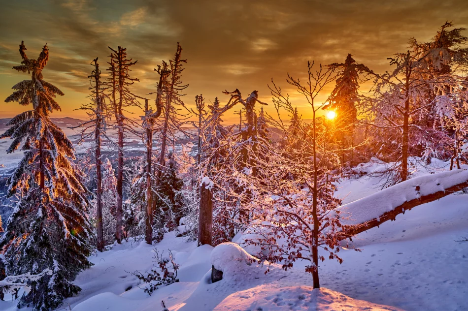 Zjawiskowy poranek w Beskidzie Wyspowym - zdjęcie 14