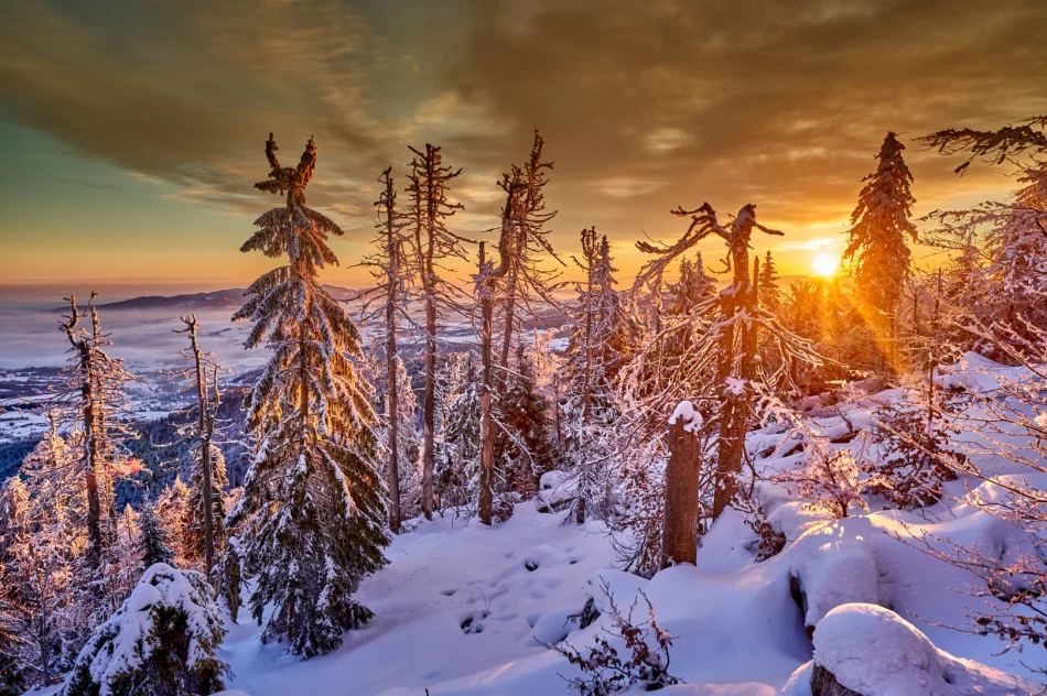 Zjawiskowy poranek w Beskidzie Wyspowym - zdjęcie 15