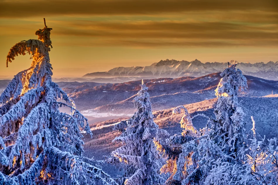 Zjawiskowy poranek w Beskidzie Wyspowym - zdjęcie 16