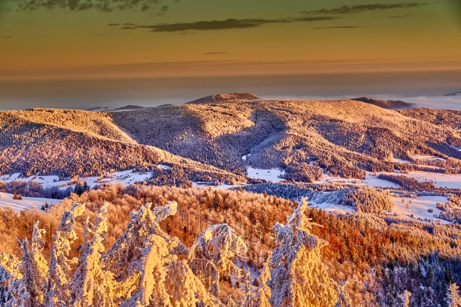 Zjawiskowy poranek w Beskidzie Wyspowym - zdjęcie 17
