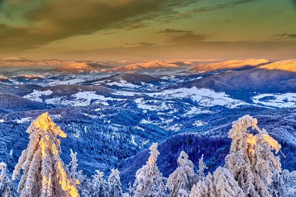 Zjawiskowy poranek w Beskidzie Wyspowym - zdjęcie 20