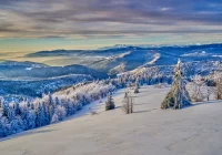 Intensywne opady śniegu - alert IMiGW - zdjęcie główne