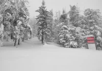 Wspólne patrole straży leśnej i ratowników GOPR - zdjęcie główne