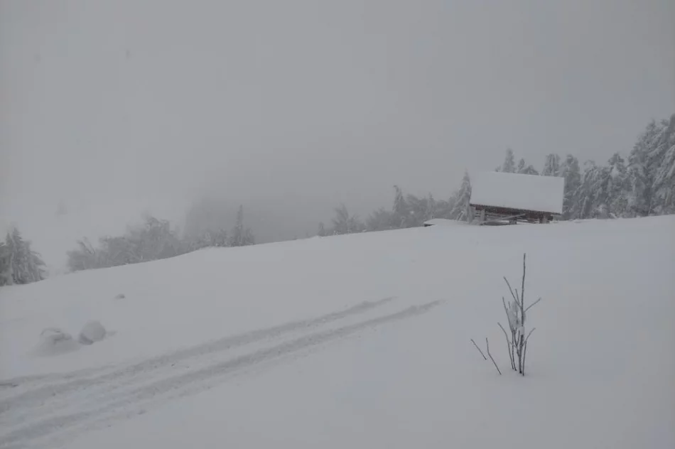 Wspólne patrole straży leśnej i ratowników GOPR - zdjęcie 2