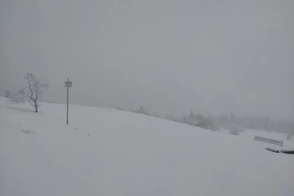 Wspólne patrole straży leśnej i ratowników GOPR - zdjęcie 3