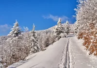 Zwiększył się ruch turystów, wzrosła liczba wypadków i interwencji ratowników GOPR - zdjęcie główne