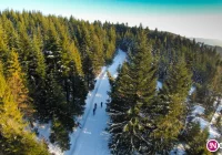 Idealne warunki na jazdę i biegi na nartach - zdjęcie główne