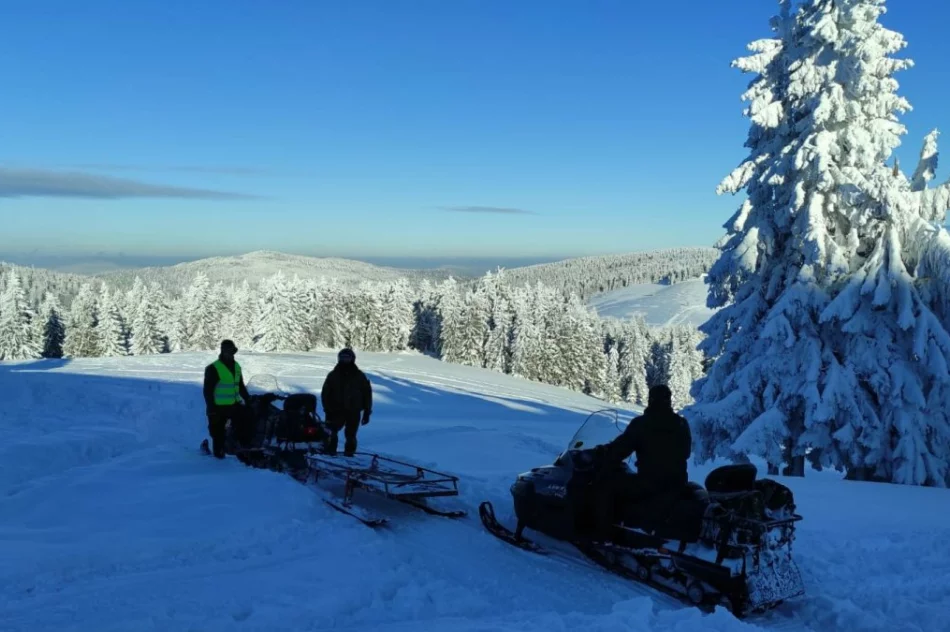 Służby wspólnie patrolowały teren parku - zdjęcie 2
