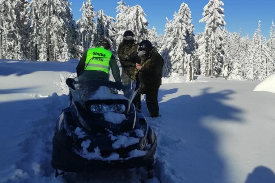 Służby wspólnie patrolowały teren parku - zdjęcie 3