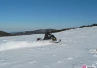 Zatrzymanie 5 mężczyzn - efekt wspólnych działań policji i służb GPN - zdjęcie główne