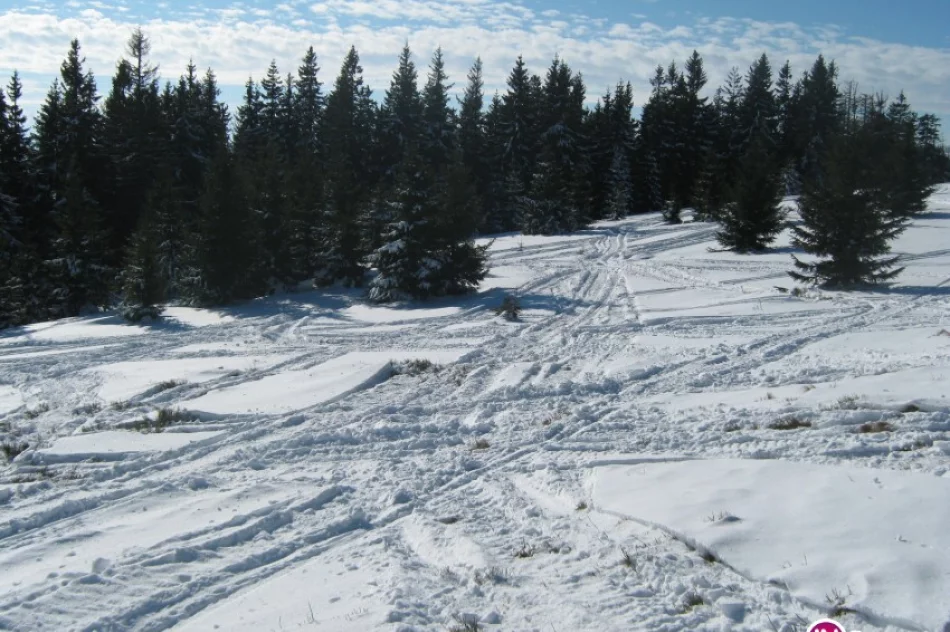 Zatrzymanie 5 mężczyzn - efekt wspólnych działań policji i służb GPN - zdjęcie 2