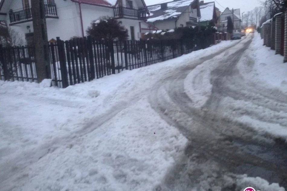 'Przyganiał kocioł garnkowi…' - zdjęcie 2