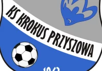 Krokus rozkwitnie wiosną? - zdjęcie główne