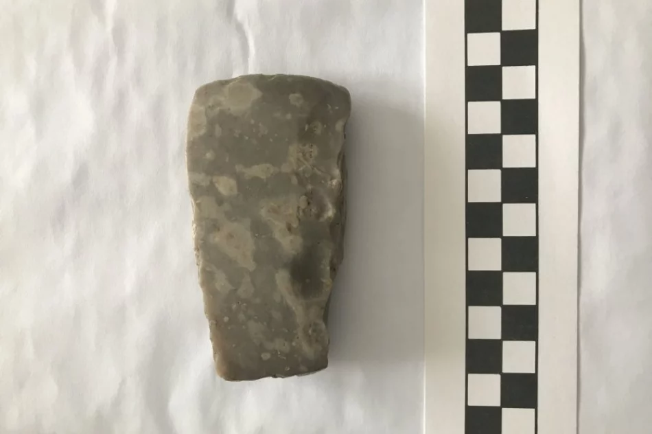 Wyjątkowy artefakt z neolitu znaleziony przez rolnika przeleżał w szufladzie kilka lat - zdjęcie 2