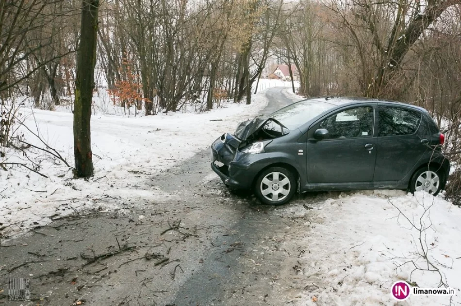 Samochód uderzył w przydrożne drzewo - zdjęcie 2