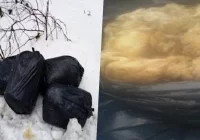 Ktoś wyrzucił wełnę po strzyżeniu owiec. Szukają go urzędnicy, proszą o pomoc mieszkańców - zdjęcie główne