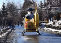 Mężczyzna przygnieciony przez drzewo. Poszkodowanego zabrał LPR - zdjęcie główne