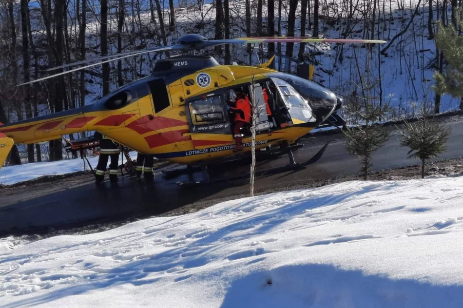Mężczyzna przygnieciony przez drzewo. Poszkodowanego zabrał LPR - zdjęcie 2