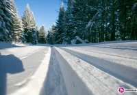 Sprawdź warunki na okolicznych stokach narciarskich - zdjęcie główne
