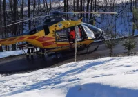 W wypadku podczas wycinki drzew ucierpiał 21-latek - zdjęcie główne