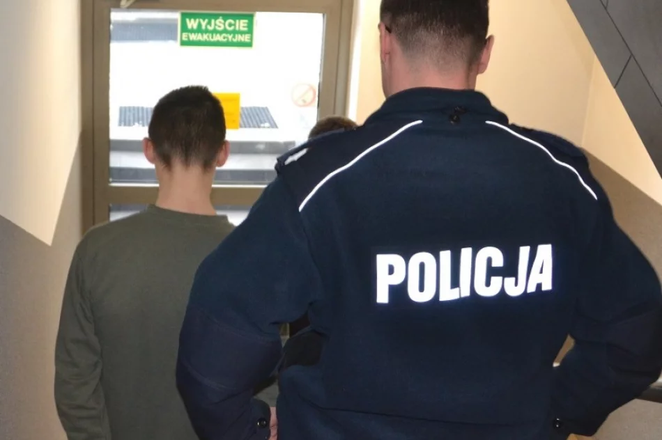 Kopali kobietę po twarzy, by ukraść jej torebkę. Trafili do aresztu - zdjęcie 3