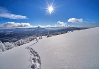 Od 1 maja w lasach specjalne obszary do nocowania na dziko - zdjęcie główne