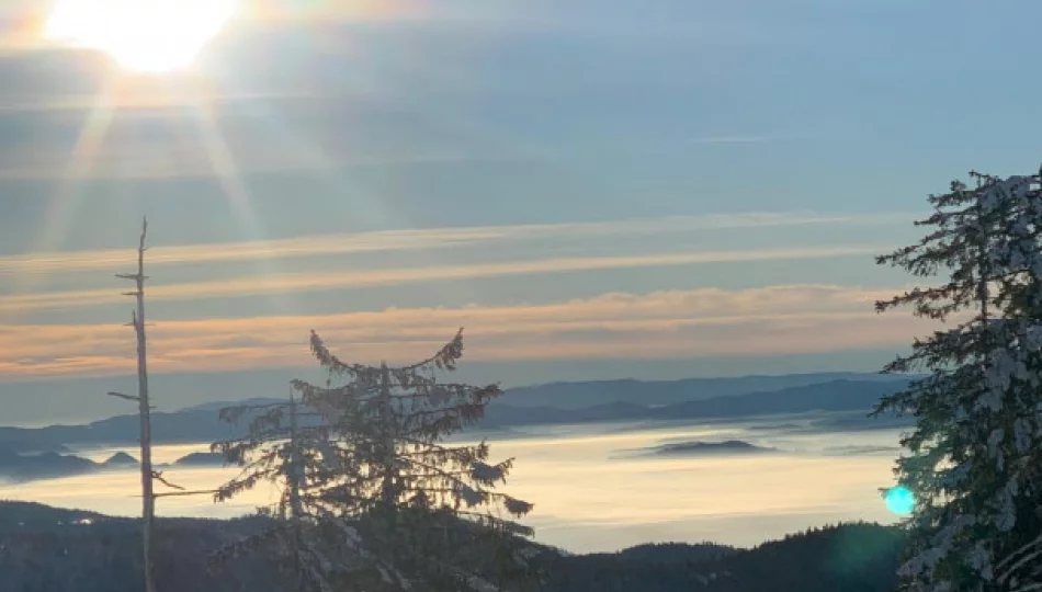 Z kroniki GOPR-owców: ponad 70 wypadków na stokach - zdjęcie 1