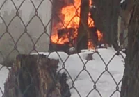 Ognisko sposobem na sprzątanie dworu. 'Co wolno wojewodzie…' - zdjęcie główne