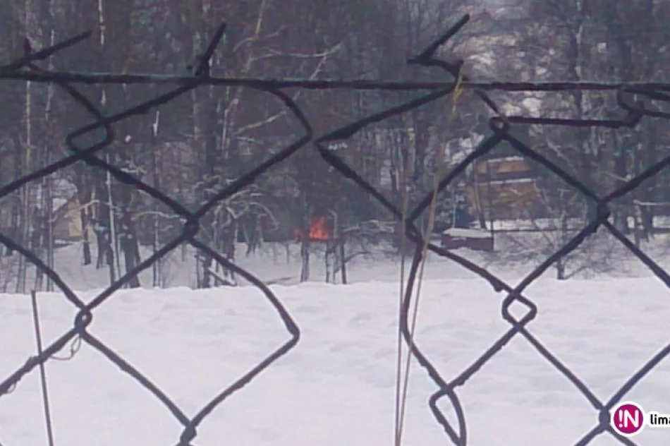 Ognisko sposobem na sprzątanie dworu. 'Co wolno wojewodzie…' - zdjęcie 2