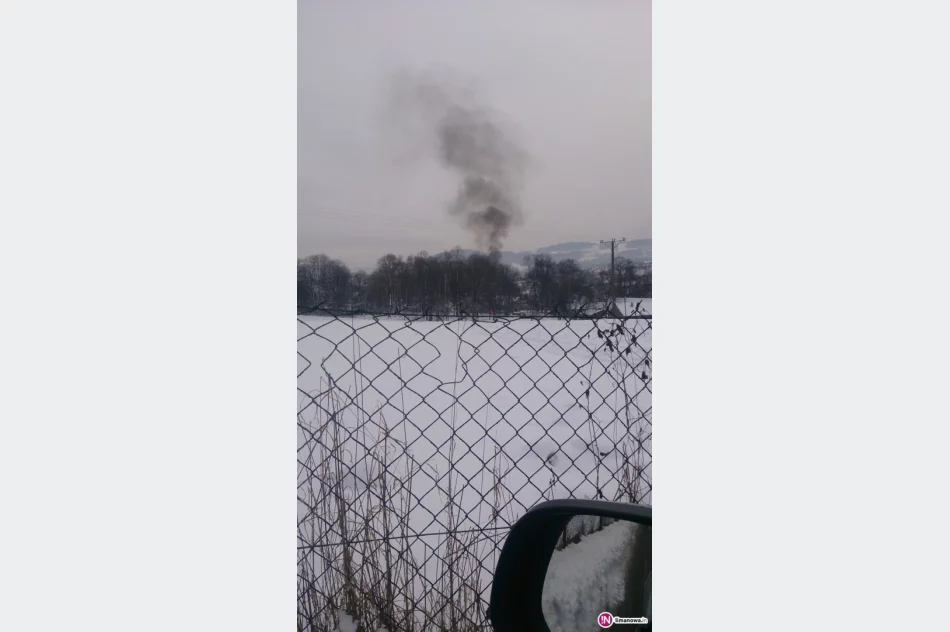 Ognisko sposobem na sprzątanie dworu. 'Co wolno wojewodzie…' - zdjęcie 3