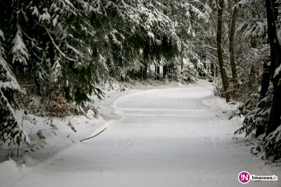 Trasa po raz pierwszy przygotowana przez ratrak - zdjęcie 2