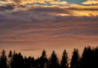 Prognoza pogody na najbliższy tydzień - zdjęcie główne