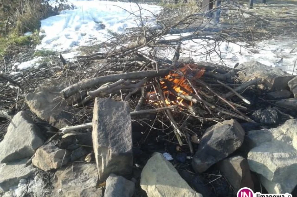 'Orkan w ruchu' - zdjęcie 3