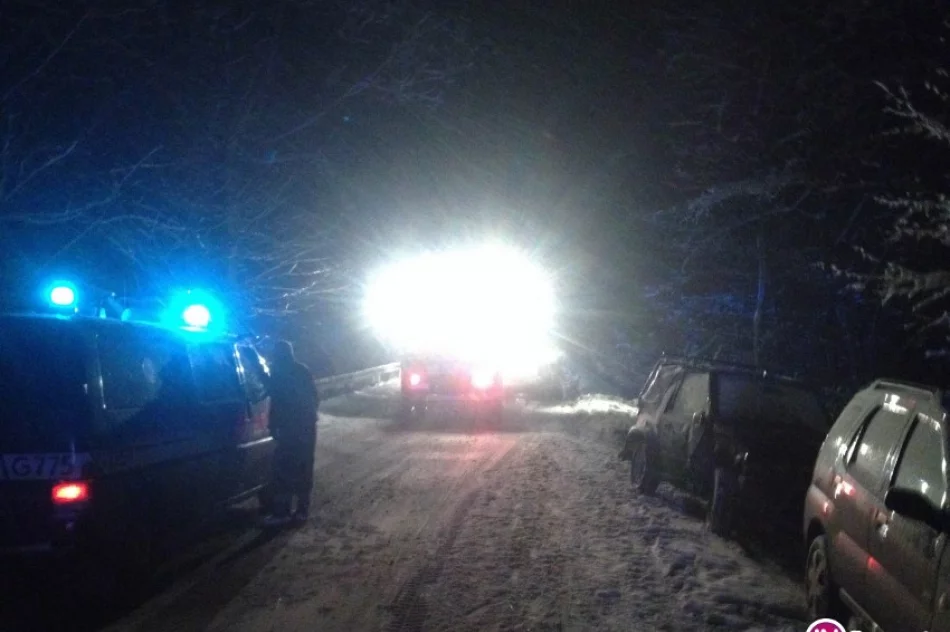 Suzuki wpadło do koryta potoku. Pojazd wyciągali strażacy - zdjęcie 2