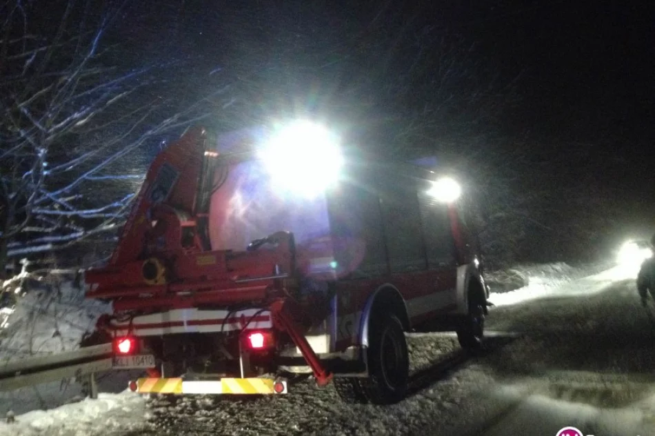 Suzuki wpadło do koryta potoku. Pojazd wyciągali strażacy - zdjęcie 3
