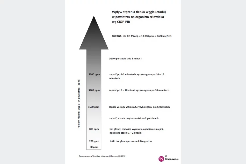 Nie dla czadu! Zadbaj o bezpieczeństwo - zdjęcie 2