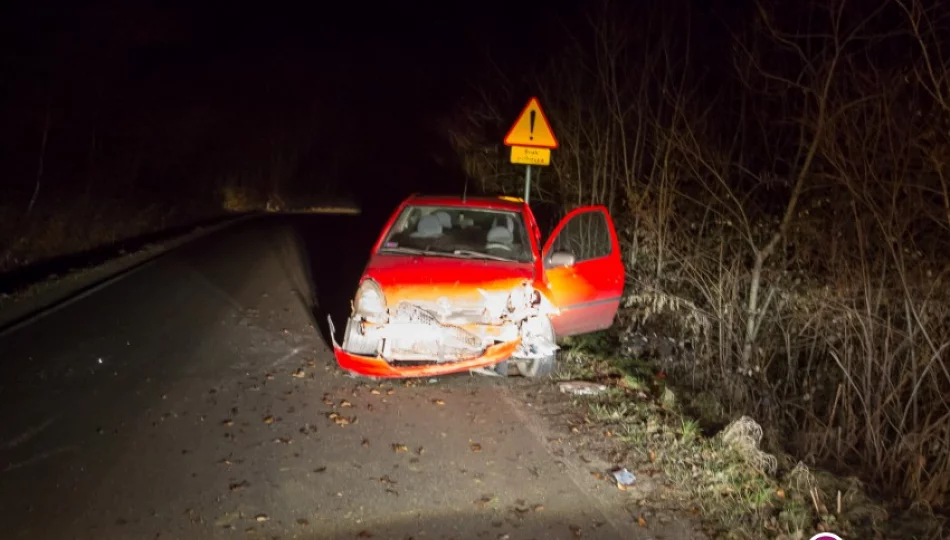 Toyota wypadła z drogi - zdjęcie 1