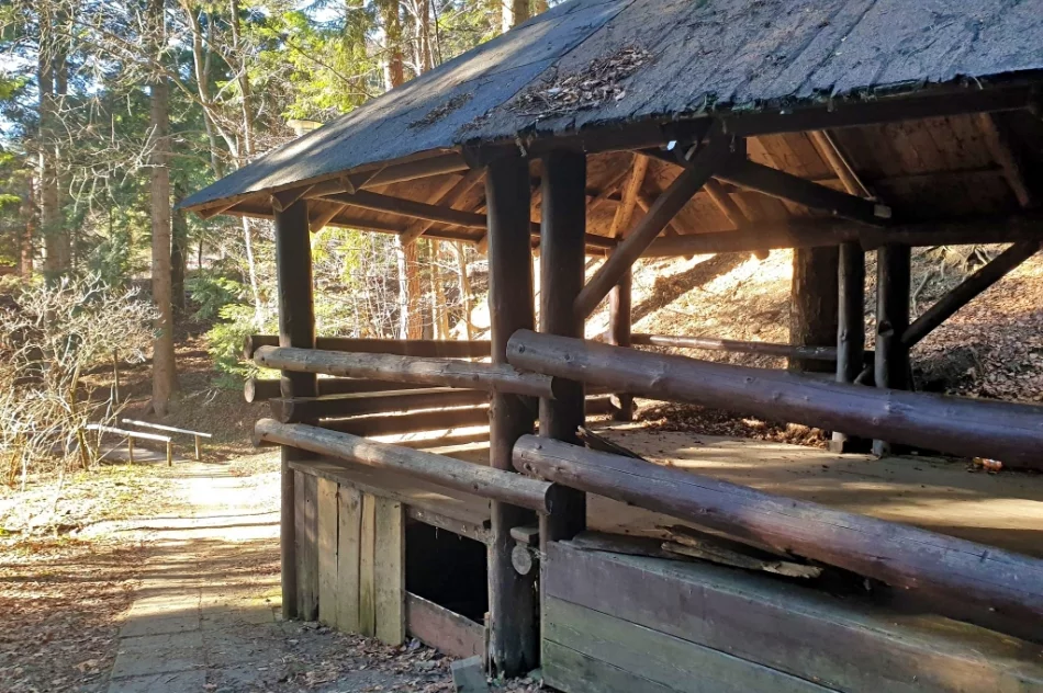 Zdegradowany kamieniołom na szlaku znów stanie się miejscem imprez i spotkań?  - zdjęcie 6