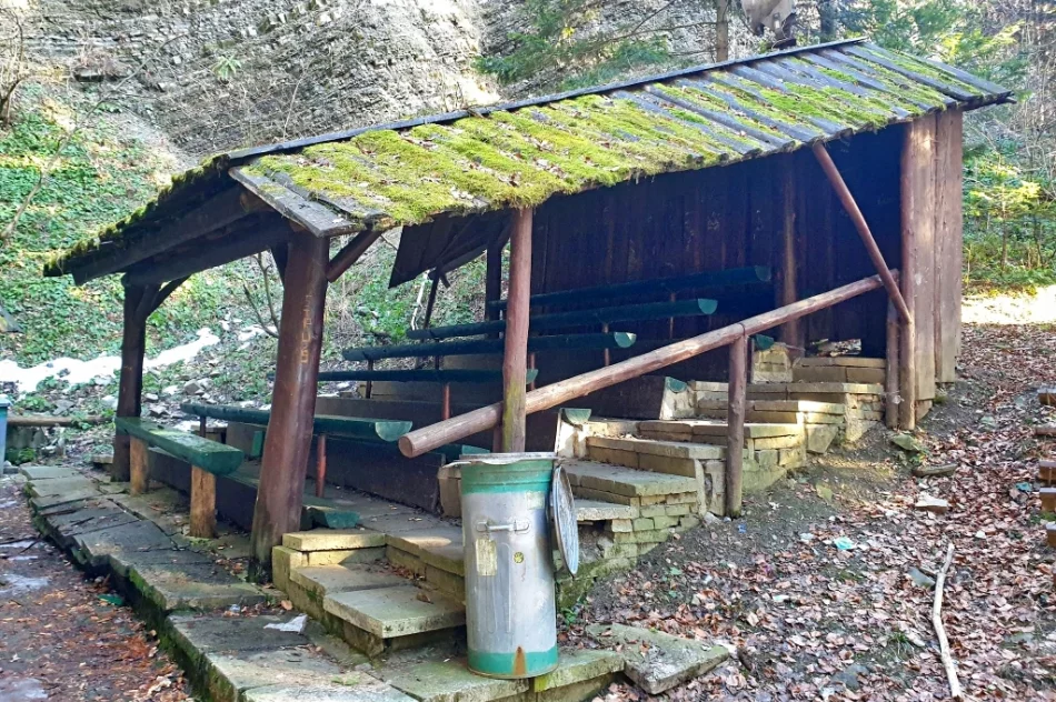 Zdegradowany kamieniołom na szlaku znów stanie się miejscem imprez i spotkań?  - zdjęcie 11