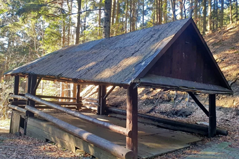 Zdegradowany kamieniołom na szlaku znów stanie się miejscem imprez i spotkań?  - zdjęcie 14