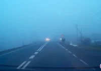 Wzorowe zachowanie młodych pieszych - zdjęcie główne