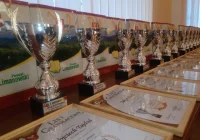 Wyróżnieni trenerzy piłki nożnej - zdjęcie główne