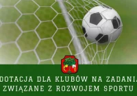  Dotacja dla klubów na działania w zakresie rozwoju sportu w 2021 roku - zdjęcie główne