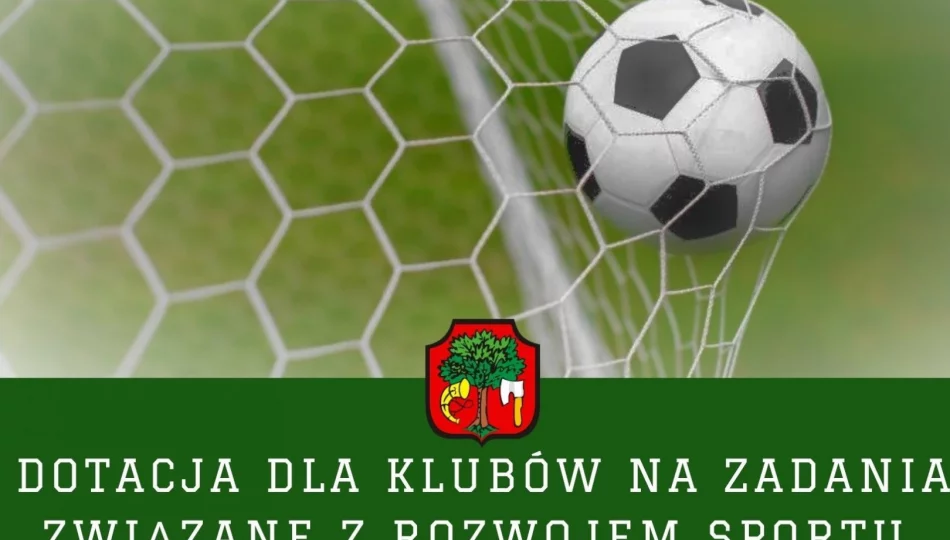  Dotacja dla klubów na działania w zakresie rozwoju sportu w 2021 roku - zdjęcie 1