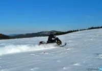 Wjechali skuterami na teren parku i nie zatrzymali się do kontroli - zdjęcie główne