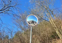 Burmistrz apeluje by... nie przeglądać się w drogowych lustrach - zdjęcie główne