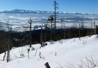 GOPR: dużo wypadków na stokach, mniej zdarzeń w górach - zdjęcie główne