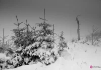 Uwaga! Silny mróz - nawet do -18 st. C. - zdjęcie główne