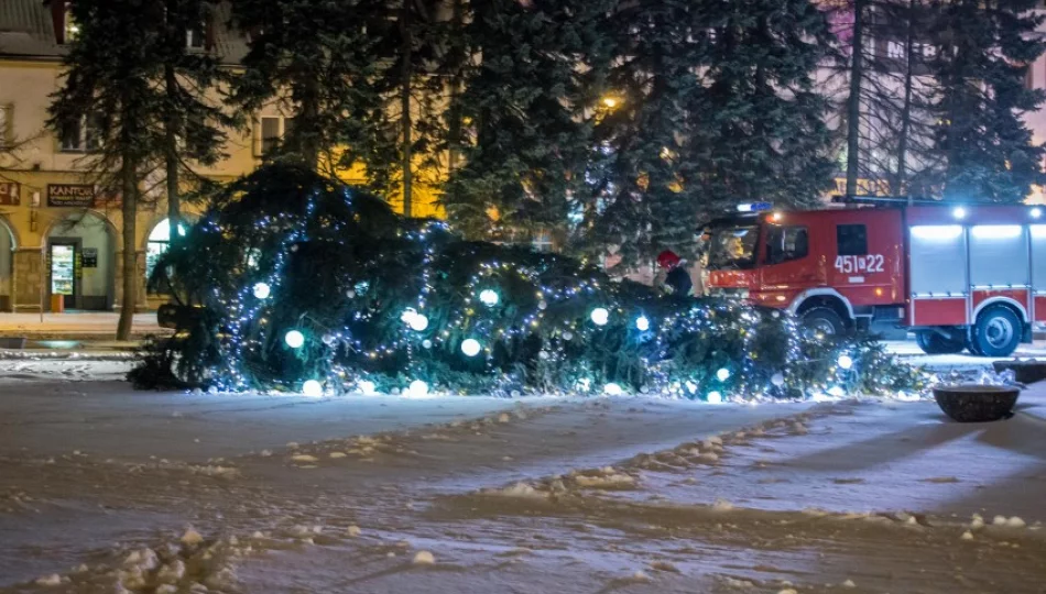 Silny wiatr przewrócił choinkę - zdjęcie 1